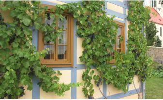 In Der Alten Weinstube Фрайталь Екстер'єр фото