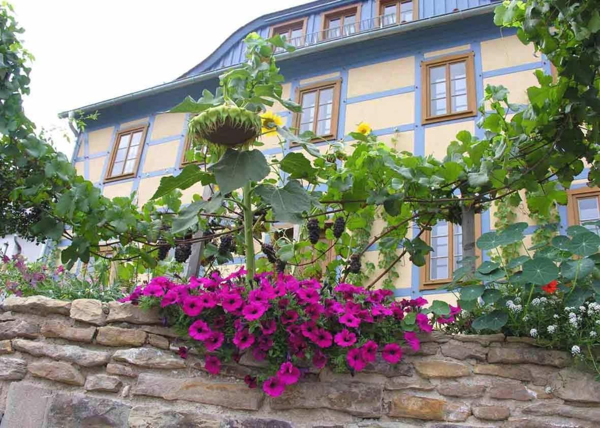 In Der Alten Weinstube Фрайталь Екстер'єр фото
